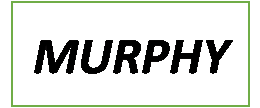 Reliance digital